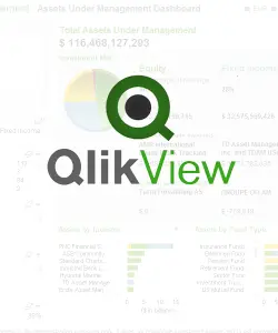 QlikView Business Analyst